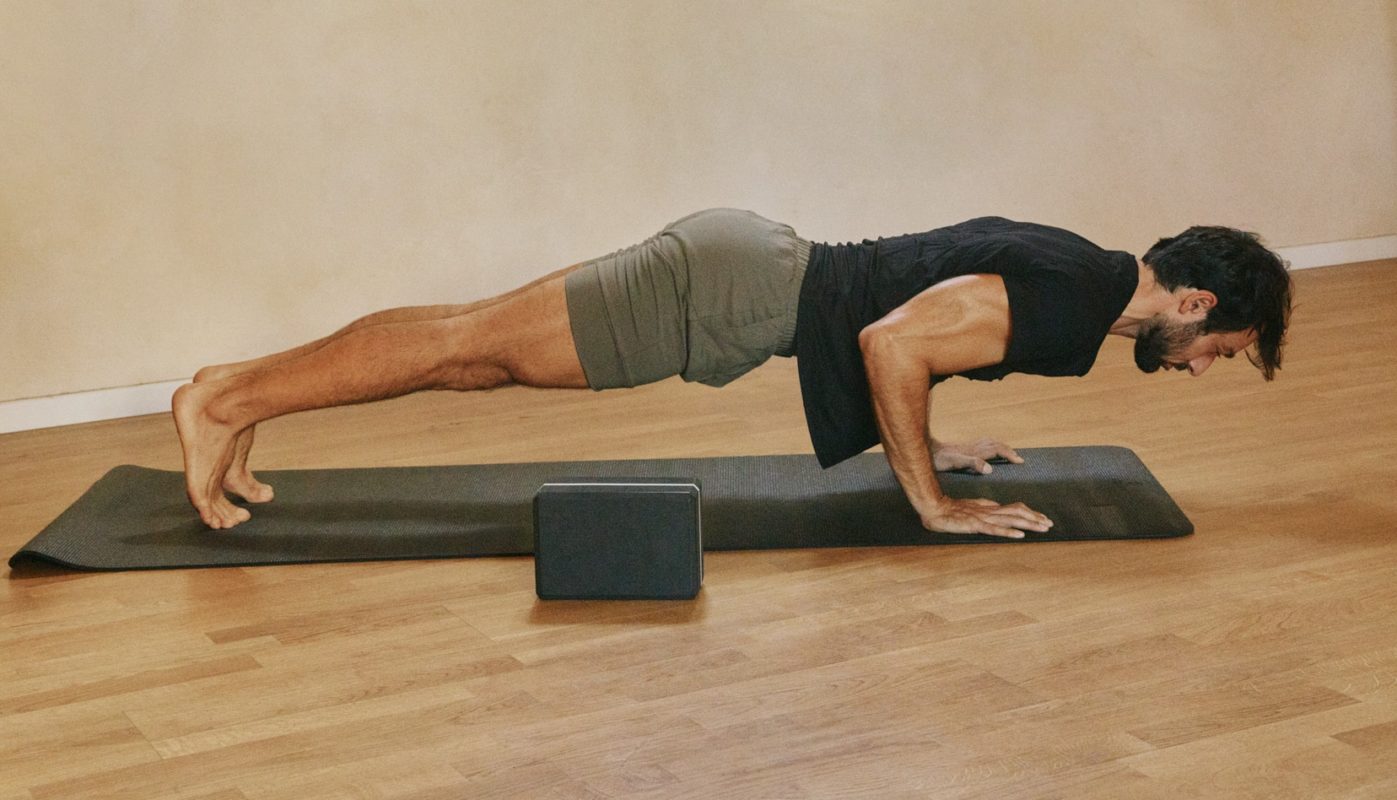 צ'אטוראנגה דאנדאסנה - ארבע נקודות מגע chaturanga dandasana